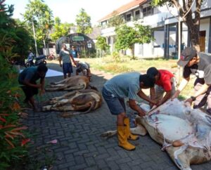 SMKN 10 Semarang Gelar Qurban dalam Rangka Perayaan Idul Adha SMKN 10 Semarang Gelar Qurban dalam Rangka Perayaan Idul Adha