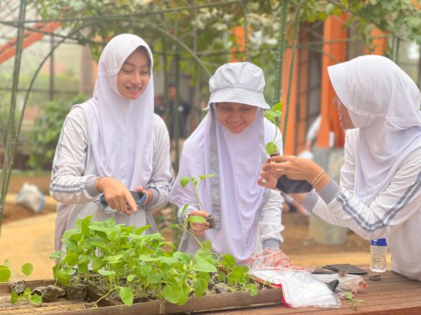 Dolan Kebun Ceria: Hidroponik itu Asik Dolan Kebun Ceria: Hidroponik itu Asik